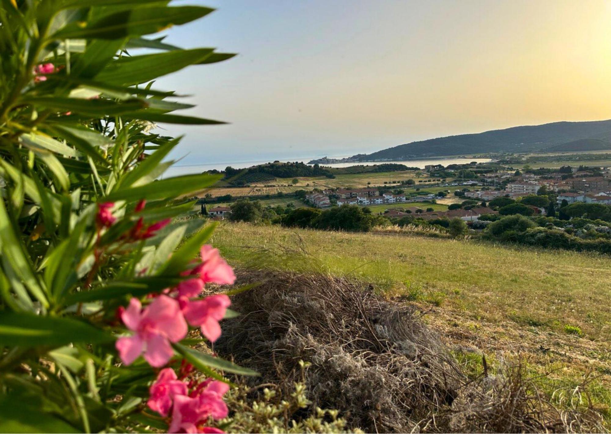 Agriturismo La Vista - Adults Only Fonteblanda Dış mekan fotoğraf