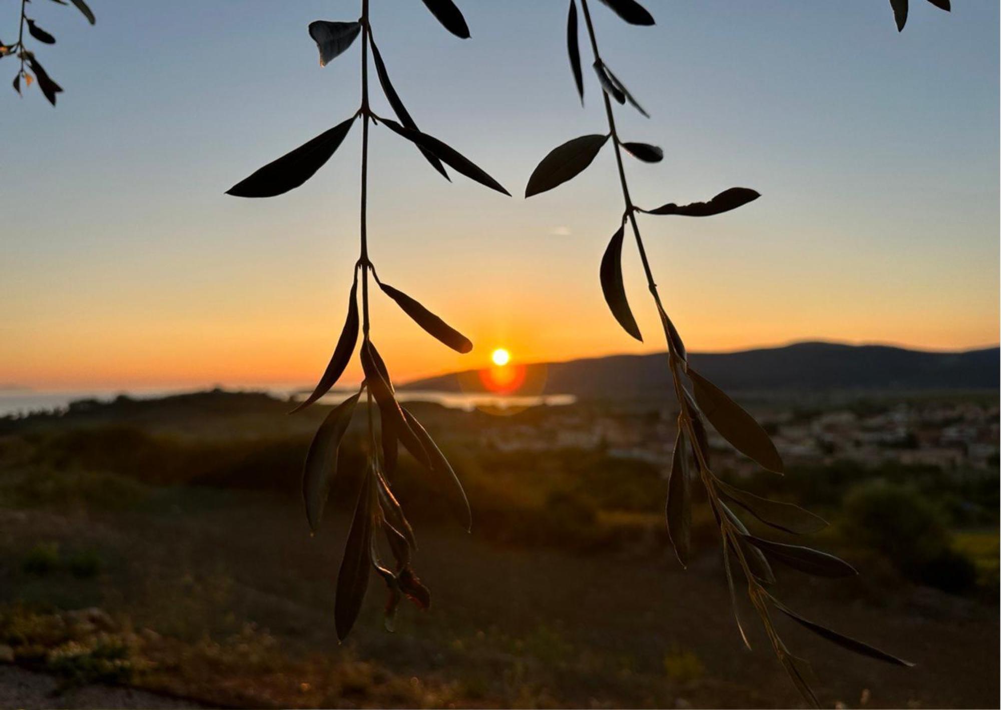 Agriturismo La Vista - Adults Only Fonteblanda Dış mekan fotoğraf